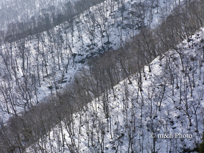 e0321360_00001139.jpg