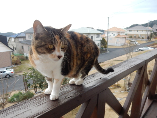 ’17,3,4(土)究極の幸せ!_f0060461_08140240.jpg