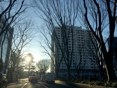 c0050264_16534652.jpg