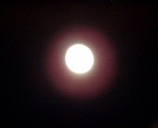 c0357465_01244093.jpg