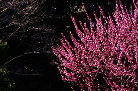 e0045768_22120730.jpg