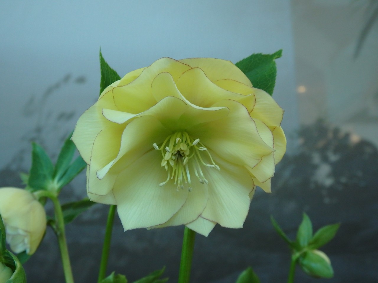 d0054276_19573531.jpg