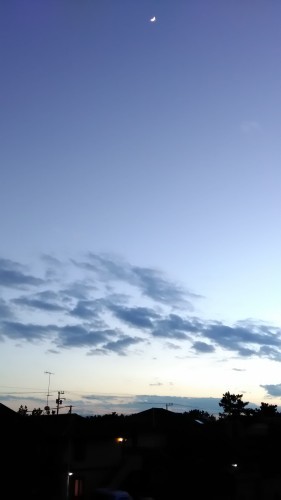 f0350477_11582540.jpg