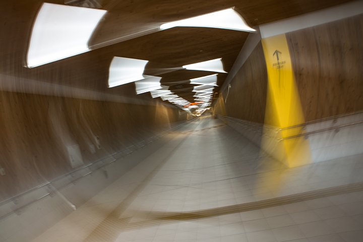 隣駅の光蜥蜴_d0353489_1572324.jpg