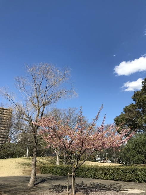 a0027290_15423752.jpg