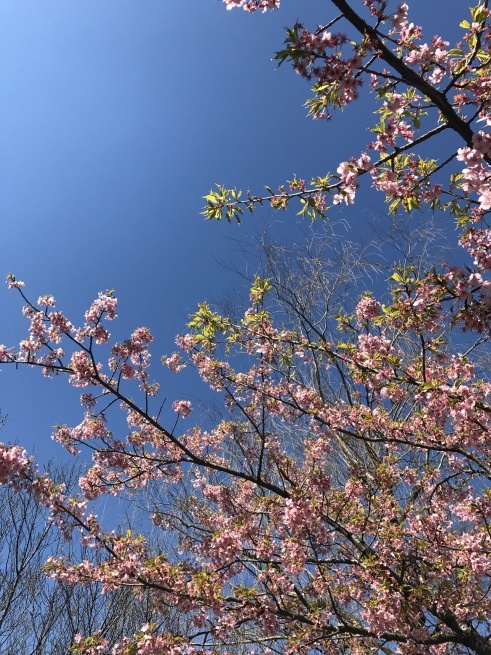 a0027290_15491666.jpg