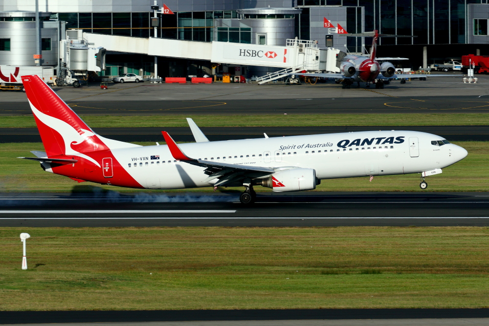 2017シドニー遠征 その4 シドニー1日目 カンタス航空 B737-800_e0204891_2017471.jpg