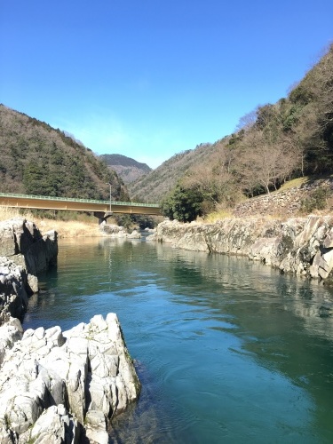 早春賦 2017_d0087595_13352676.jpg