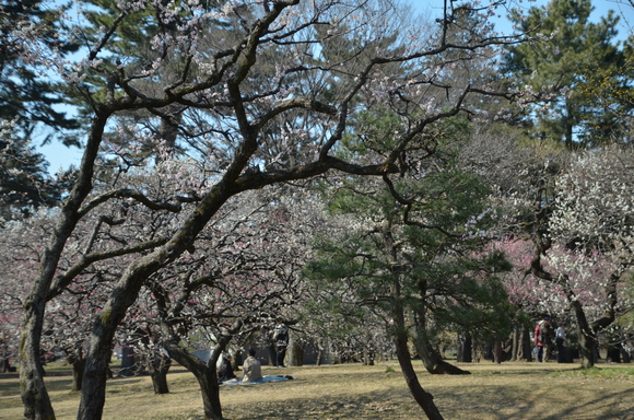 a0288500_16175737.jpg