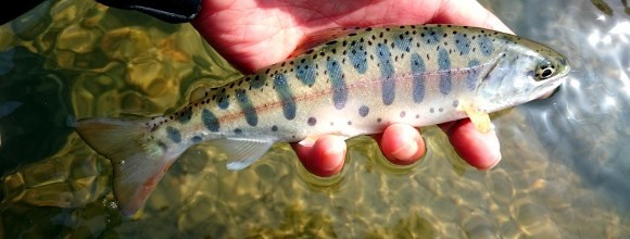 f0266202_16584108.jpg