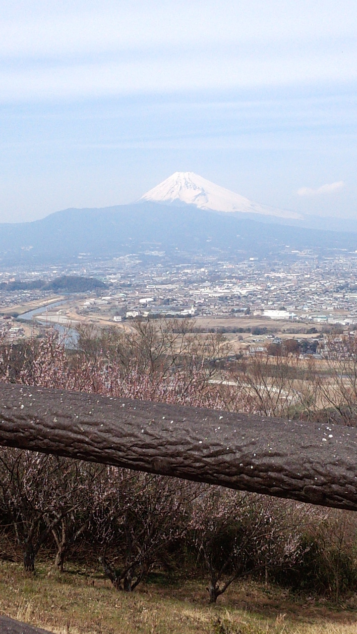 c0156703_19395916.jpg