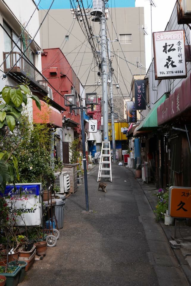 ぶらり京浜急行線を歩く 立会川〜大森_d0147406_19181275.jpg