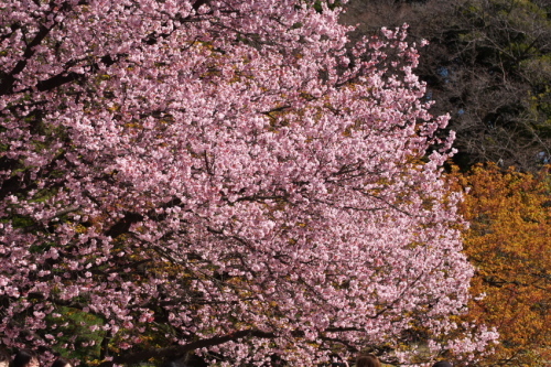 a0263109_10075834.jpg