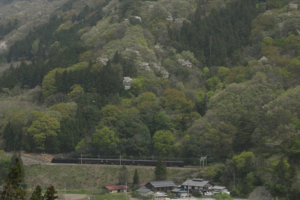 新緑、山桜、薄煙 - 上越線 -_b0190710_19044149.jpg