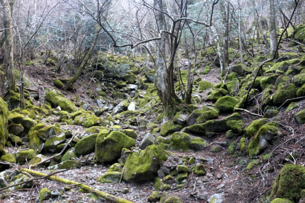 f0212511_21242642.jpg