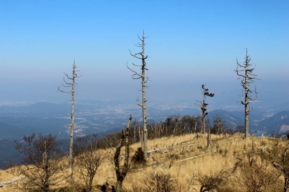 f0212511_21254730.jpg