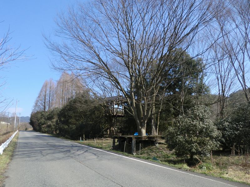 b0131012_1625385.jpg