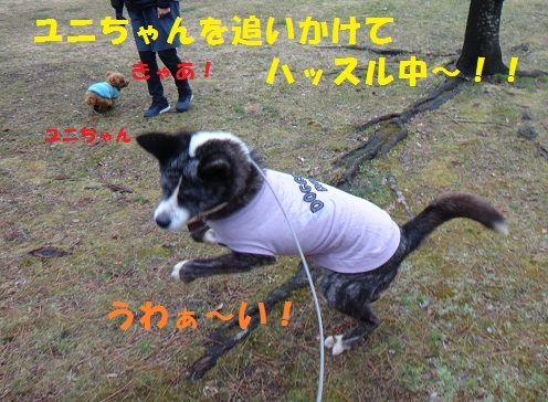 f0121712_06223683.jpg