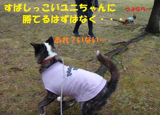 f0121712_06223804.jpg
