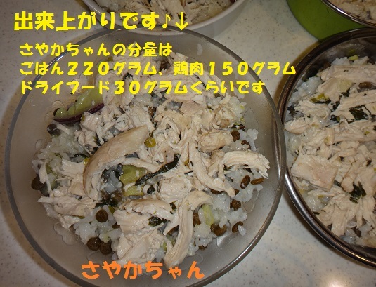 f0121712_06241630.jpg
