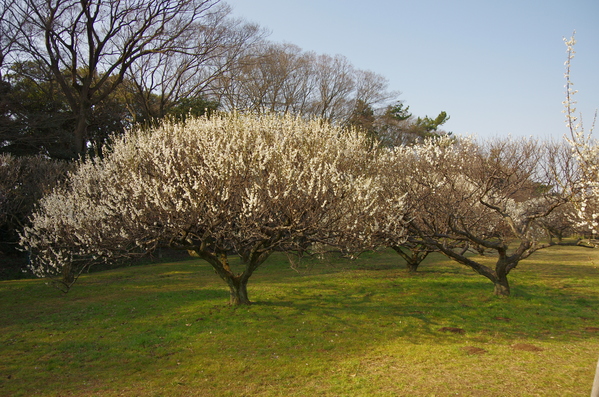 c0022113_1543535.jpg