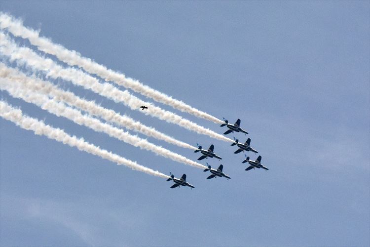 a0104116_18453596.jpg