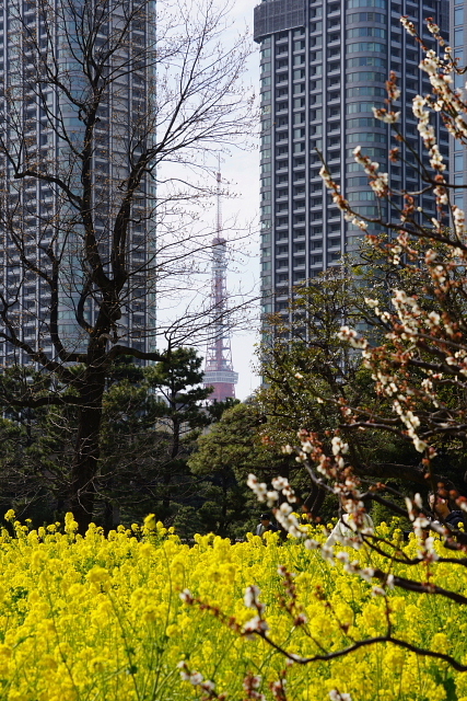 a0105819_11001301.jpg