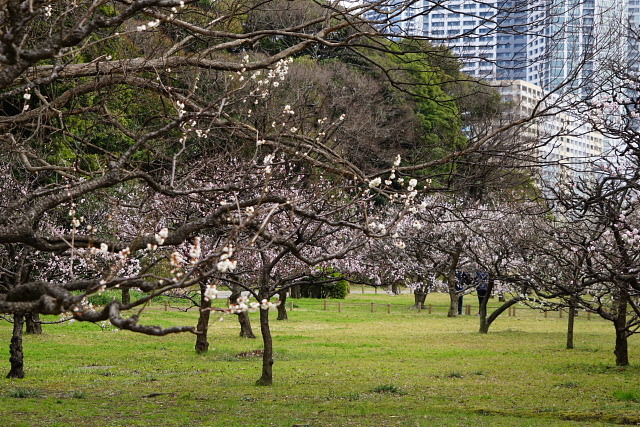 a0105819_11031296.jpg