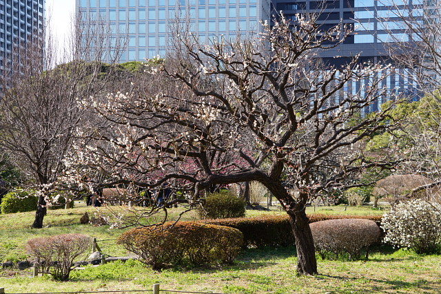 a0105819_11073828.jpg