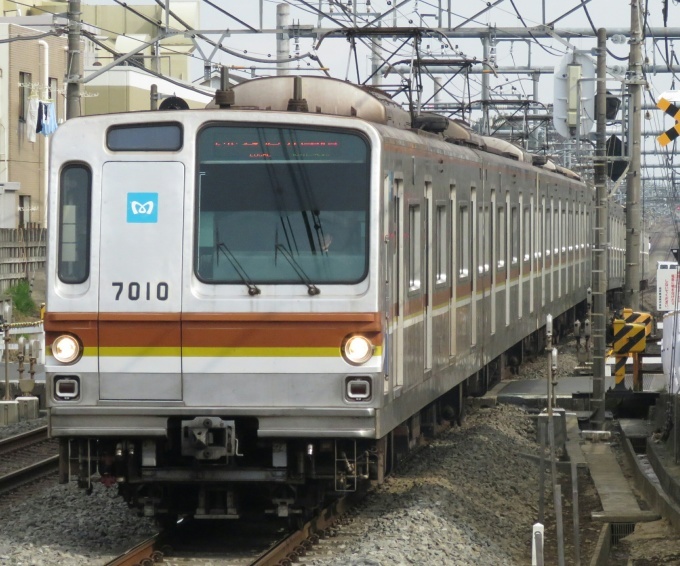 d0044222_23590953.jpg