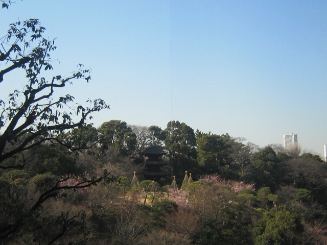 d0162225_15585569.jpg