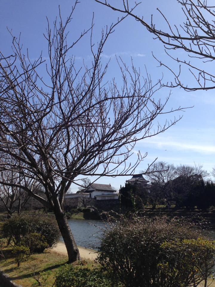 f0184825_0215381.jpg