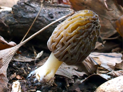 f0108133_21103715.jpg