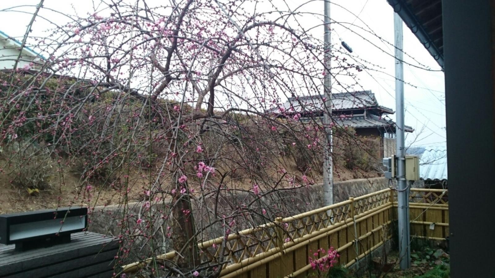 c0209334_17312074.jpg