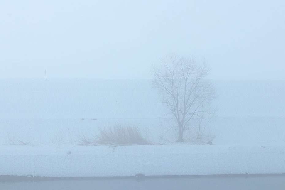 出石川雪景色_c0067040_22414479.jpg