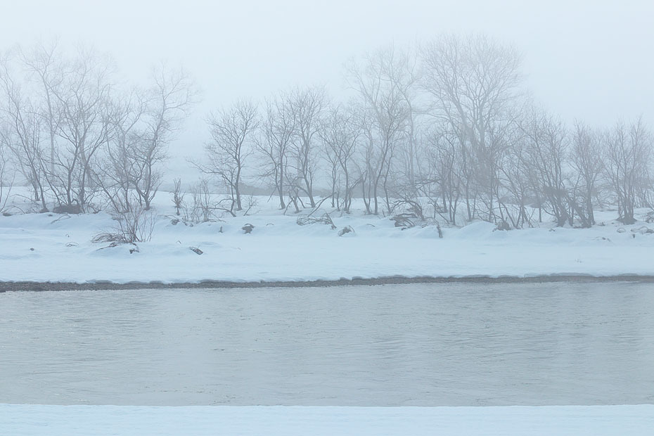 出石川雪景色_c0067040_22431131.jpg