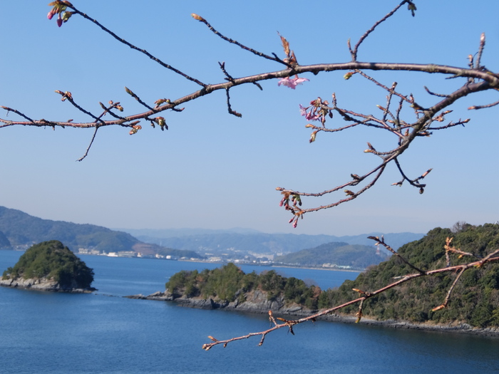 笠戸島（かさどしま）Kasado island　2月19日～20日_a0289242_847178.jpg