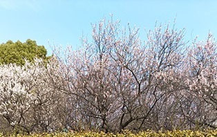 b0080342_22032222.jpg