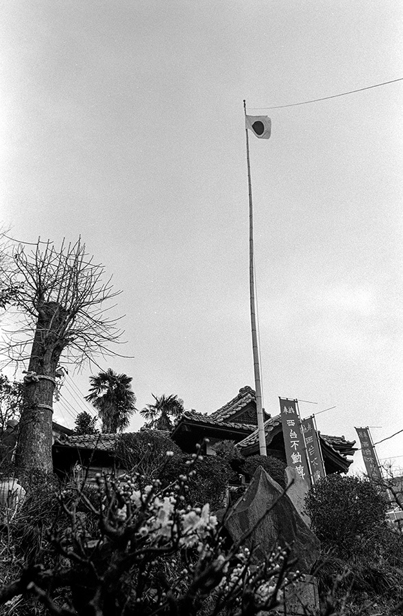 c0035245_16484226.jpg