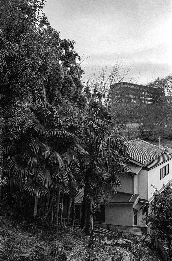 c0035245_17185845.jpg