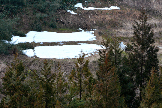 c0093046_14442079.gif