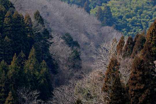 c0093046_1444359.gif