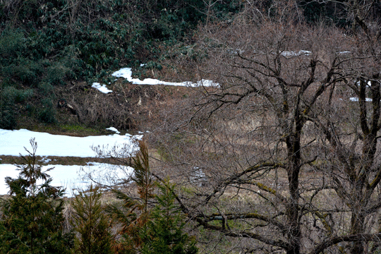 c0093046_1444554.gif