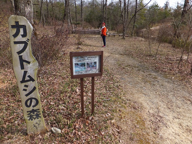 春に歩くコースを上野森林公園へ下見に歩く！！！_d0048350_1164216.jpg