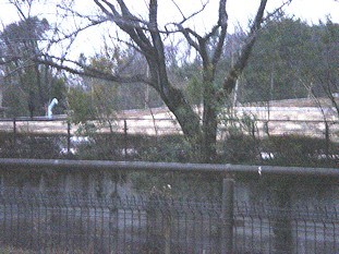 c0001653_22553430.jpg