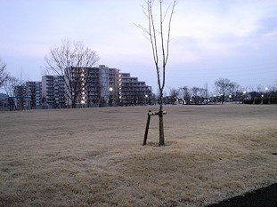 c0001653_23140940.jpg