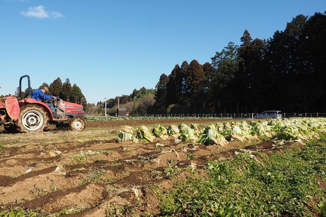 【Photo】THE FARM 農園リゾートの風景_b0008655_18190982.jpg