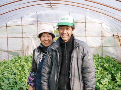 長尾ブランドの新鮮野菜!お待たせしました!朝採り大根(葉付、葉切り)販売スタート!!_a0254656_19205938.jpg