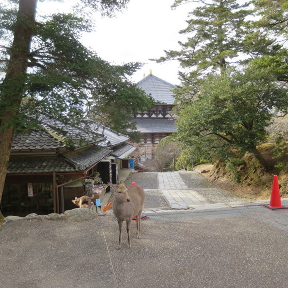 c0001670_09042029.jpg
