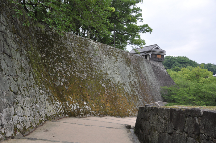 震災前の熊本城写真（2009年6月かさこ撮影）_e0171573_22254276.jpg